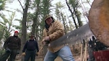 Bigfoot and Wolverines