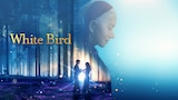 White Bird