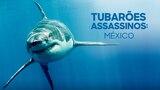 Tubarões Assassinos: México