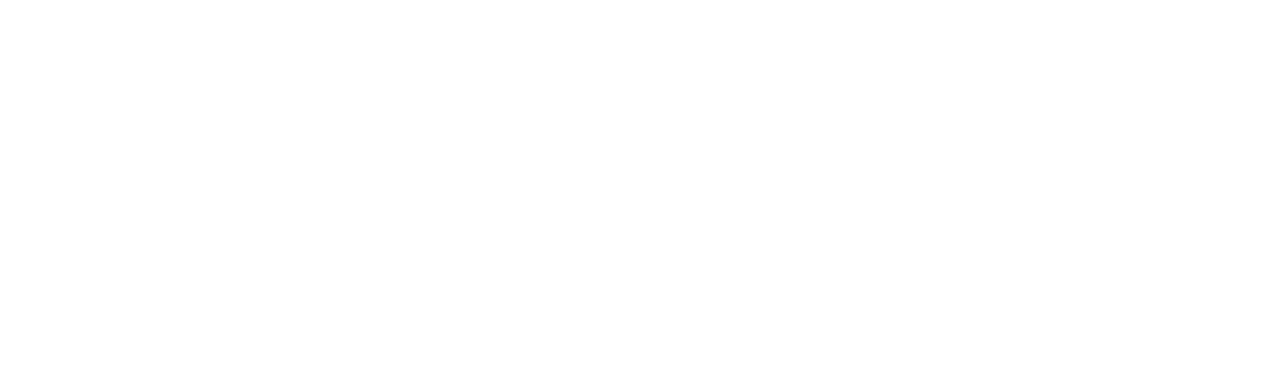 Son of Sam: The Hunt for a Killer