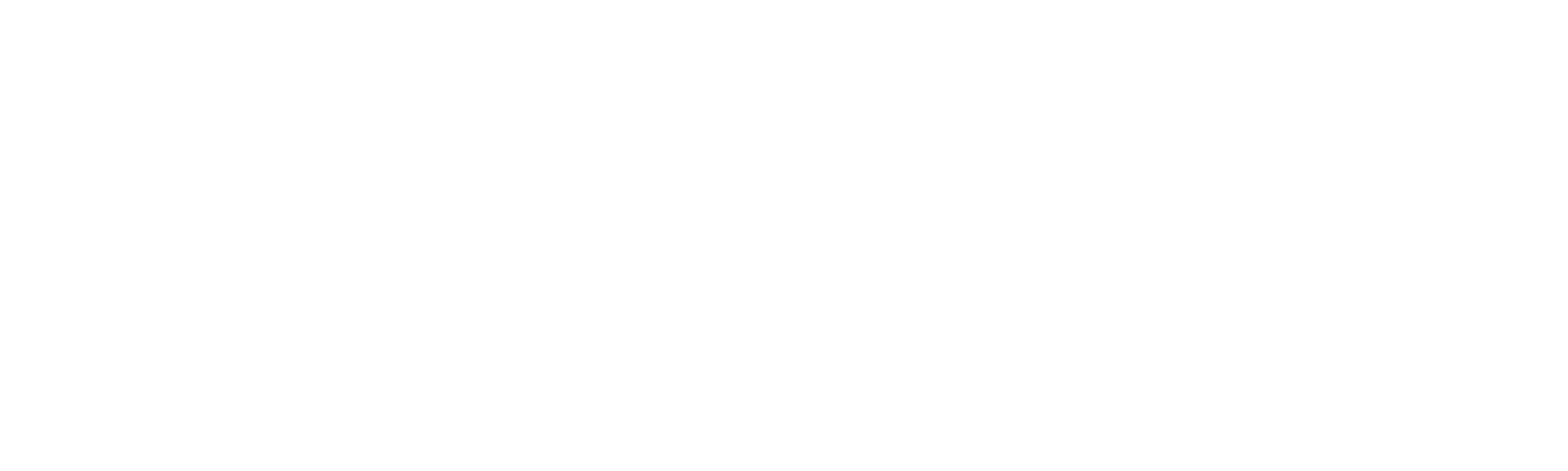 Američki bombaški napad: Motiv 19. aprila