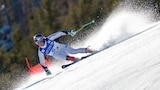 Coupe du monde FIS