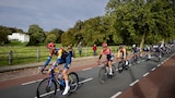 Men | Arnhem (155km)