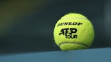 ATP 500 Basel - Vienna | Quarter final
