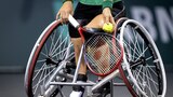 Tenis în scaun cu rotile | Feminin | Turul 1 | Rotterdam