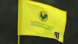 Circuitul PGA