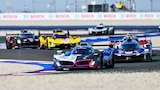 Race